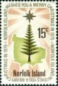 Star over Norfolk Island Pine and Map
