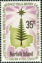 Star over Norfolk Island Pine and Map