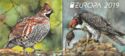 Europa 2019 - National Birds