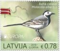 Europa - National Bird - White Wagtail (Motacilla alba)