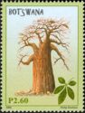 Baobab Tree, by Philip Huebsch