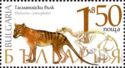 Tasmanian tiger (Thylacinus cynocephalus)