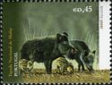 Wild Boar (Sus scrofa)