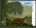 Red Fox (Vulpes vulpes)