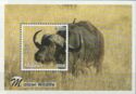 Cape Buffalo