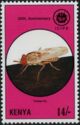 Tsetse fly (Glossina sp.)