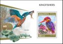 Kingfishers