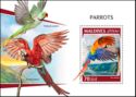 Parrots