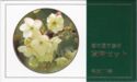 Various Yen (Mint set 1999 - Cherry Blossom Viewing in Osaka)