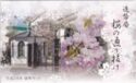 Various Yen (Mint set 2012 - Cherry Blossom Viewing in Osaka)