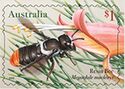 Resin Bee (Megachile macleayi)