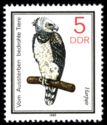 Harpy Eagle (Harpia harpyja)