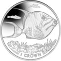 1 Crown (Queen Triggerfish)
