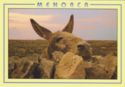 Nº 69 Menorca - Burro - Donkey