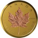 200 Dollars (40th Anniversary of the Gold Maple Leaf)