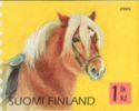 Icelandic Horse (Equus ferus caballus)