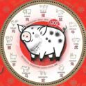 Year of the Pig 2019