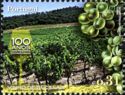 100 Years of Demarcated wine Regions - Vinho de Bucelas