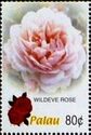Wildeve rose