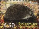 Northern White-breasted Hedgehog (Erinaceus concolor)