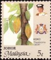 Cocoa (Theobroma cacao)