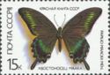 Alpine Black Swallowtail (Papilio maackii)