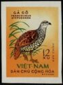 Chinese Francolin (Francolinus pintadeanus)