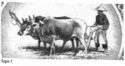 Malay Ploughing
