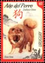 Year of the Dog 2018 - Chow Chow