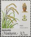 Agricultural Products- Oryza sativa
