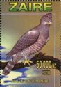 Crowned Eagle (Stephanoaetus coronatus)