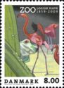 Caribbean Flamingo (Phoenicopterus ruber), Frog