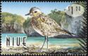 Lesser golden plover (Pluvialis dominica) (see Description)
