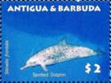 Atlantic Spotted Dolphin (Stenella frontalis)
