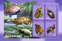 Turtles of the Caribbean