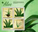Aloe (1)