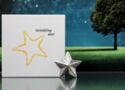 5 Dollars (Twinkling Star)