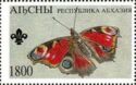 European Peacock (Inachis io)