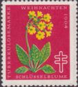 Christmas 1964 - Cowslip (Primula veris)