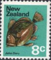 John Dory (Zeus faber)