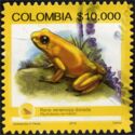 Golden Poison Frog (Phyllobates terribilis)