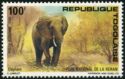 African Elephant (Loxodonta africana)