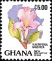 Nigerian Iris