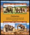 African Elephant (Loxodonta africana)