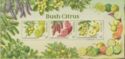Bush Citrus