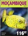 Yellow Boxfish (Ostracion cubicus)