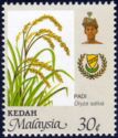 Oryza sativa