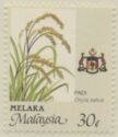 Agricultural Products - Oryza sativa