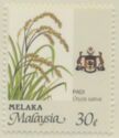 Agricultural Products - Oryza sativa