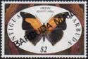 Stinky Leafwing (Historis odius) - Overprinted